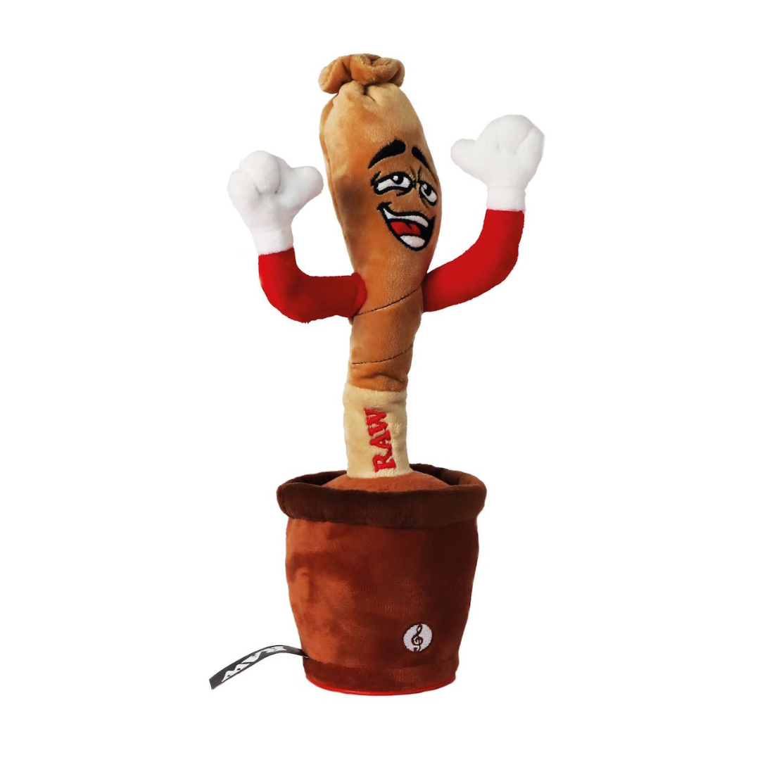 RAW Dancing Cone