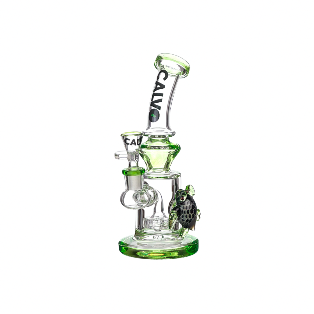 Calvo Turtle Rig